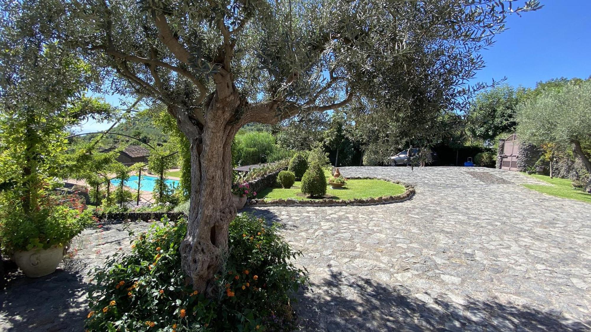 Villa Il Palmento Dell'Etna Trecastagni Exterior foto